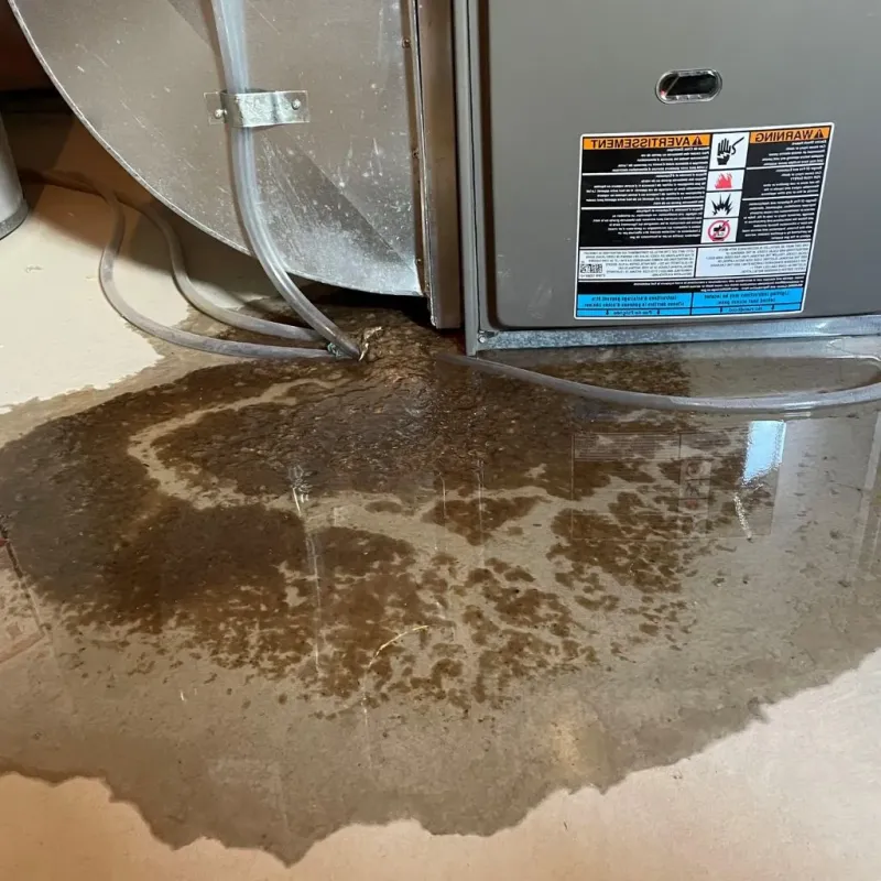 Pipe Burst and Leak Restoration in Kimball, TN