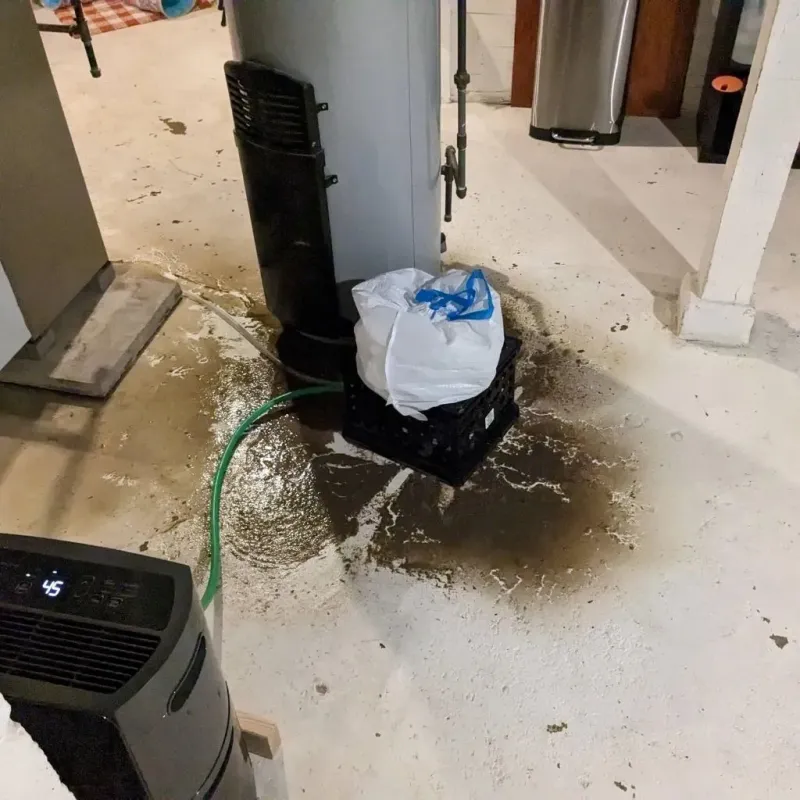 Sewage Backup Cleanup Service in Kimball, TN